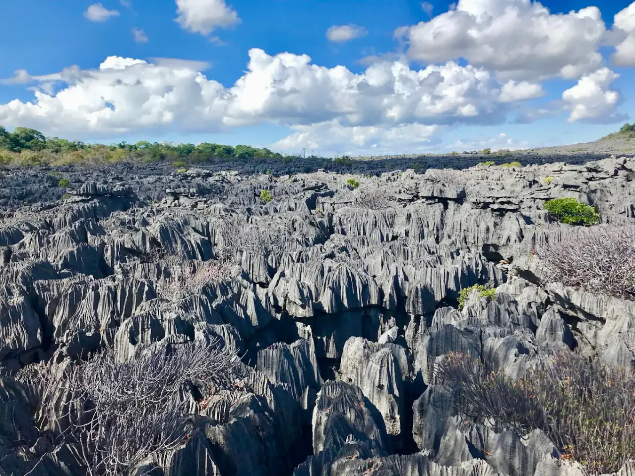Parc National de l'Ankarana